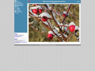 hagvall.se snapshot