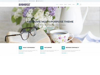 bambozz.com snapshot