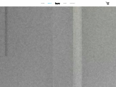 basutub.co.uk snapshot