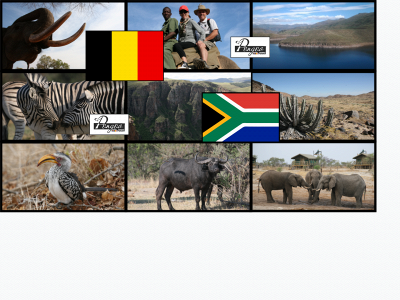 pongoa-travel.com snapshot