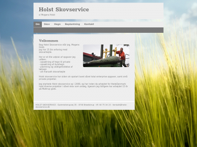 holst-skovservice.dk snapshot