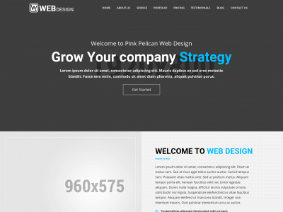 pinkpelicanswebdesign.com snapshot