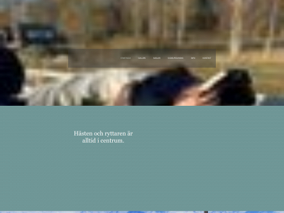 sadelmastaren.se snapshot