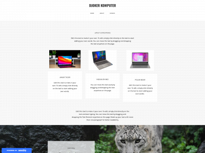 promokomputer.weebly.com snapshot