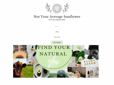 notyouraveragesunflower.com snapshot