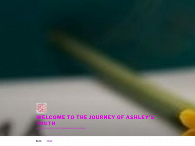 ashleystruth.com snapshot