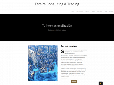 esteireconsulting.com snapshot