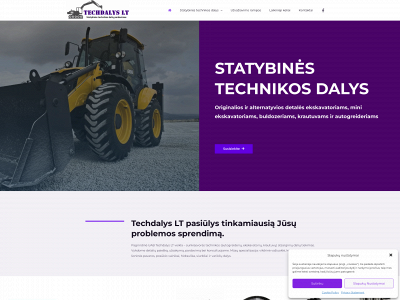 techdalys.lt snapshot
