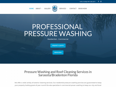 saltyseaspressurewashing.com snapshot