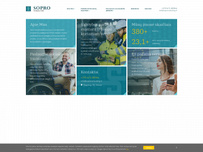 soproconsulting.lt snapshot