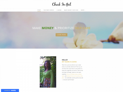 checkingal.weebly.com snapshot