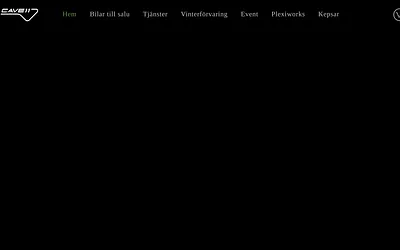 cave11.se snapshot