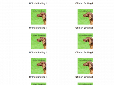 ofirishsmilingeye.com snapshot
