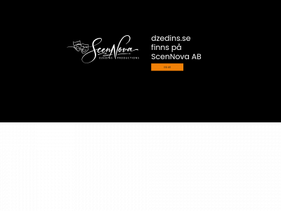 dzedins.se snapshot