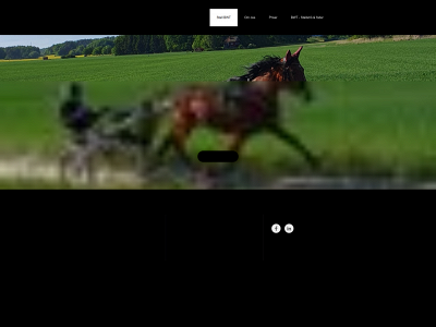 stallbwt.se snapshot