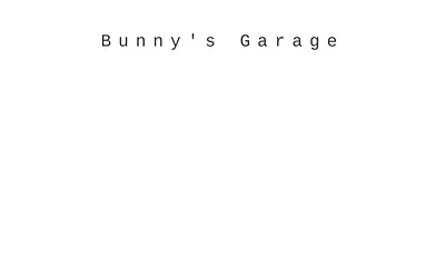 bunnys.no snapshot