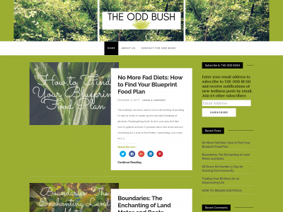 theoddbush.com snapshot