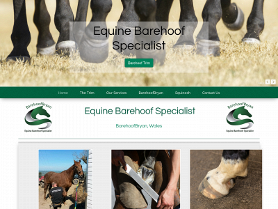 barehoofbryan.co.uk snapshot
