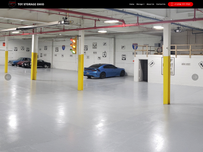 toystorageohio.com snapshot