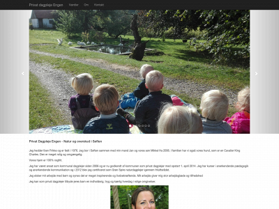 soften-dagpleje.dk snapshot