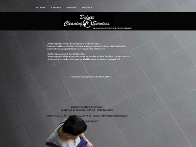 deluxecleaning.be snapshot