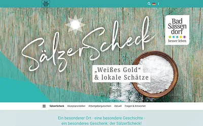 saelzerscheck.de snapshot