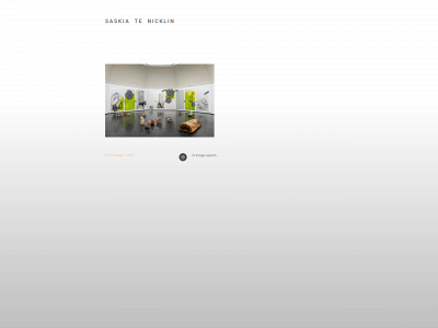 stnicklin.net snapshot