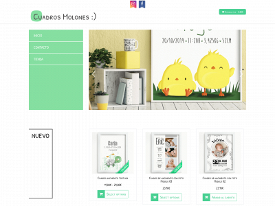 cuadrosmolones.com snapshot