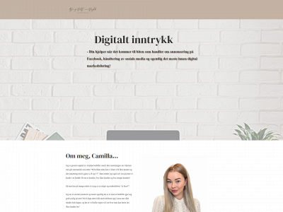 digitaltinntrykk.no snapshot
