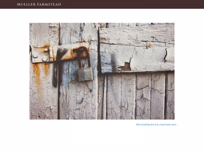 muellerfarmstead.com snapshot