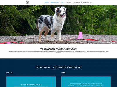 vekora.net snapshot