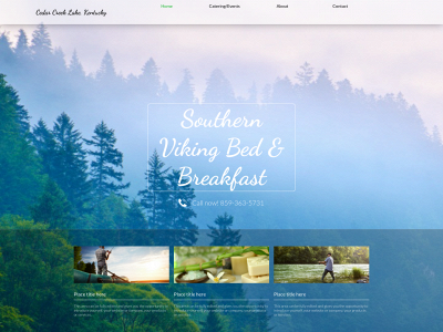 southernvikingbedandbreakfast.com snapshot