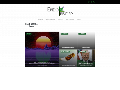 endoinsider.com snapshot