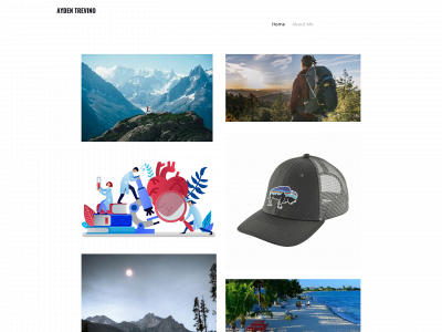 trevinoaydenahhs.weebly.com snapshot