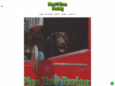 pinetreepaving.com snapshot
