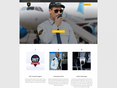 allstarsecurityusa.com snapshot