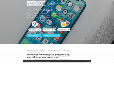 www.reconnectrepair.com snapshot