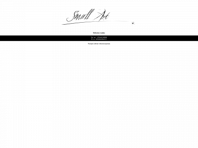 smallart.lt snapshot