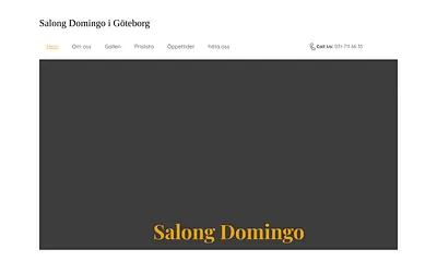 salongdomingo.se snapshot