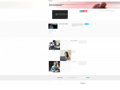 mybizmenow.com snapshot