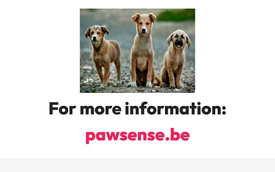 pawsense.fi snapshot