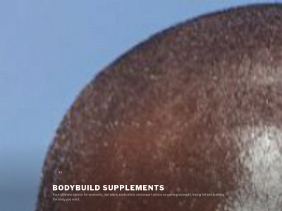 bodybuildsupplements.net snapshot