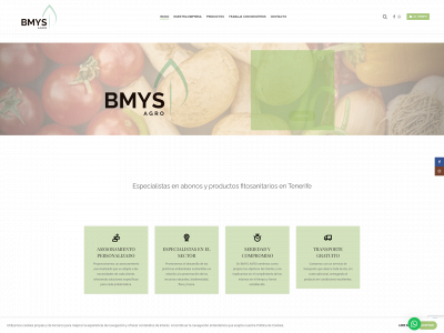 bmysagro.com snapshot