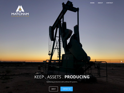 matchamconsulting.com snapshot
