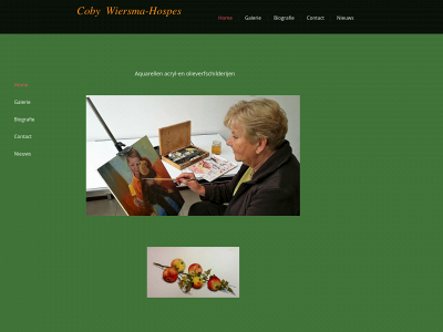 cobyhospes.nl snapshot
