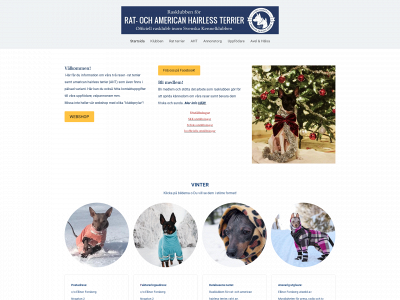 raht.se snapshot