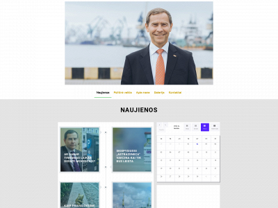 budinas.lt snapshot