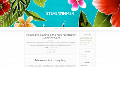 juststevewimmer.com snapshot