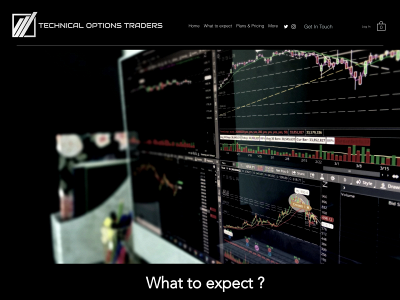 techoptionstraders.com snapshot