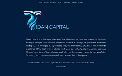 tidancapital.com snapshot